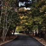 Nature Trail